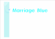 [Marriage Blue 원인과 극복방안] Marriage Blue 개념, Marriage Blue 원인, Marriage Blue 극복방안   (1 )